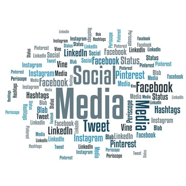 social media infograph