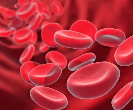Blood cells - thalassemia