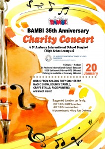 Copy of Charity Concert