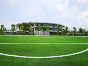 Verso international school hybrid grass soccer pitch