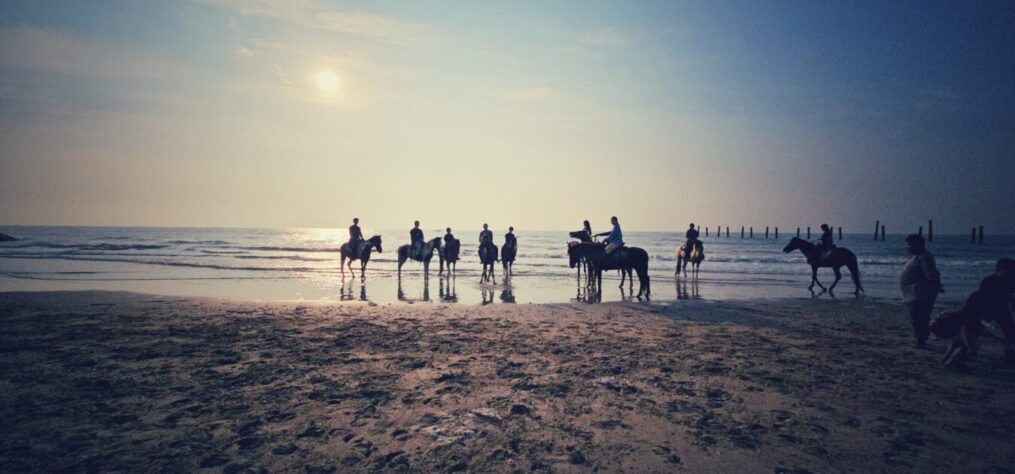 The Stallion Horse Riding Thailand cover