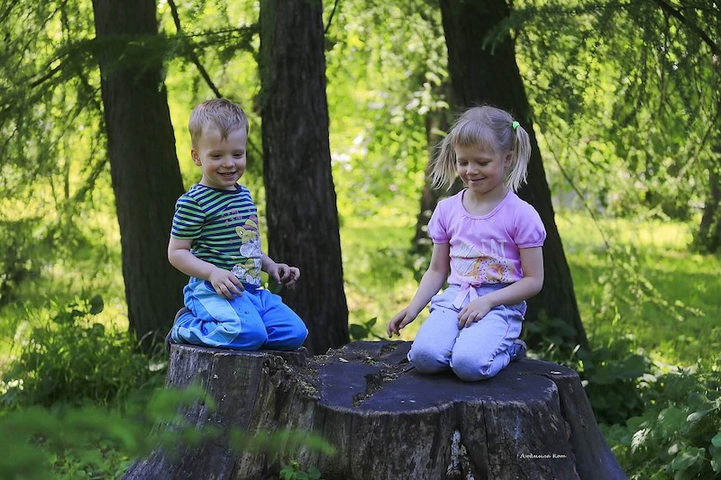 Kids in the forest