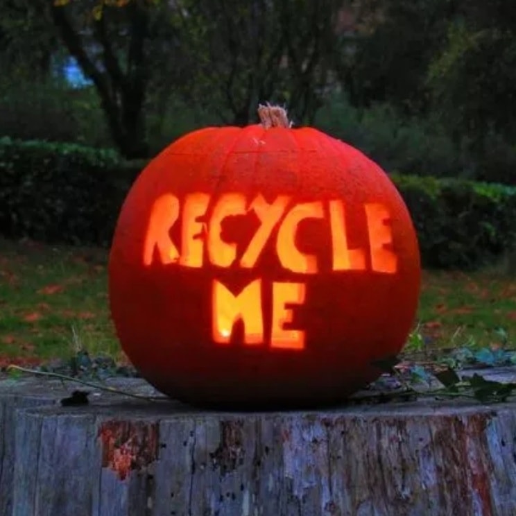 Recycled pumpkins