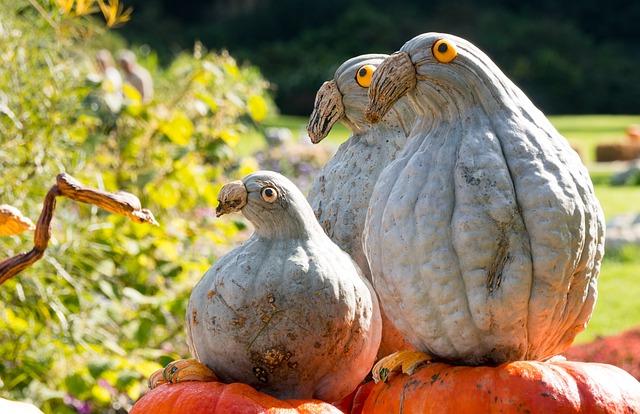 Creative pumpkin characters