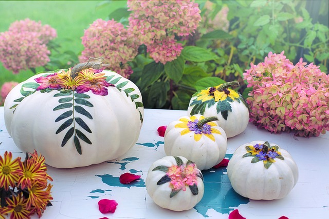 Creative ideas for pumpkins