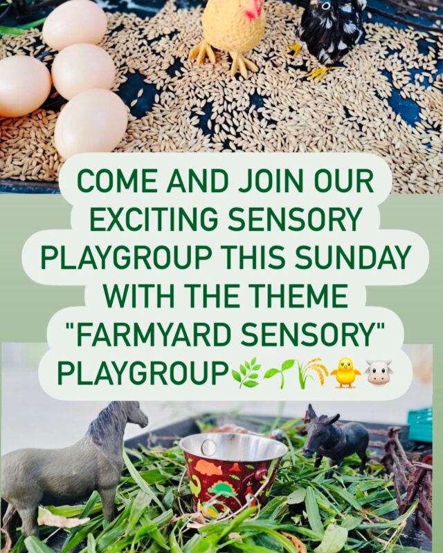 Fairy Fox Kids Cafe - Farmyard Sensory Playgroup