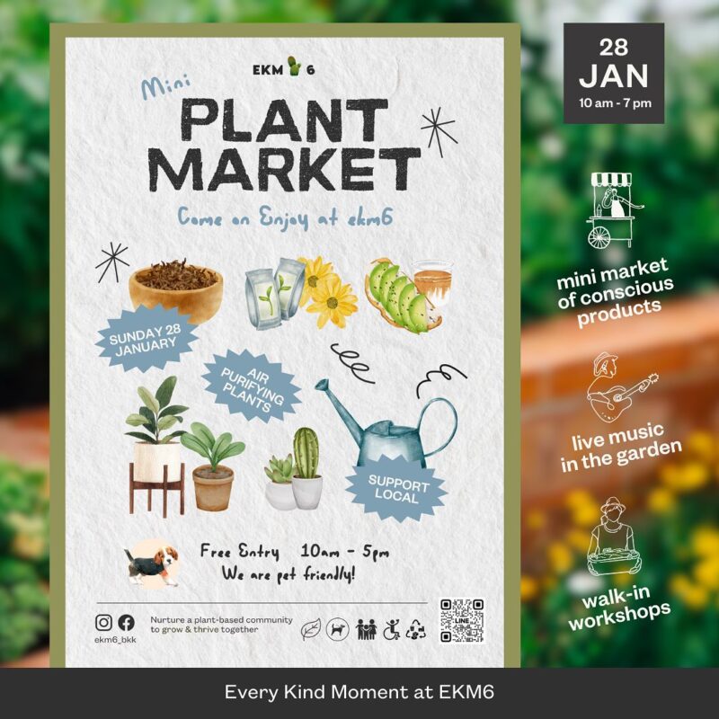 EKM6 - Mini Plant Market