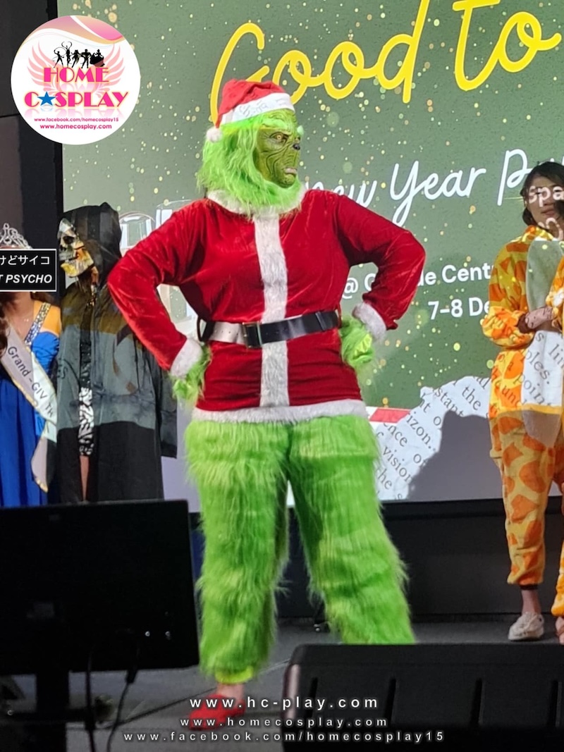 grinch santa costume 