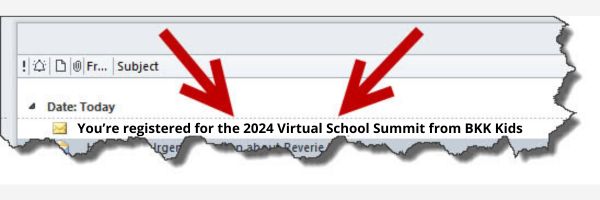 2024 Virtual School Summit Thank You image