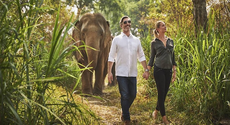 couple walk front of Elephant 