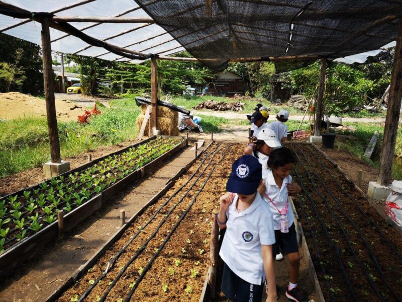 children at Bangkok prep Forest campus