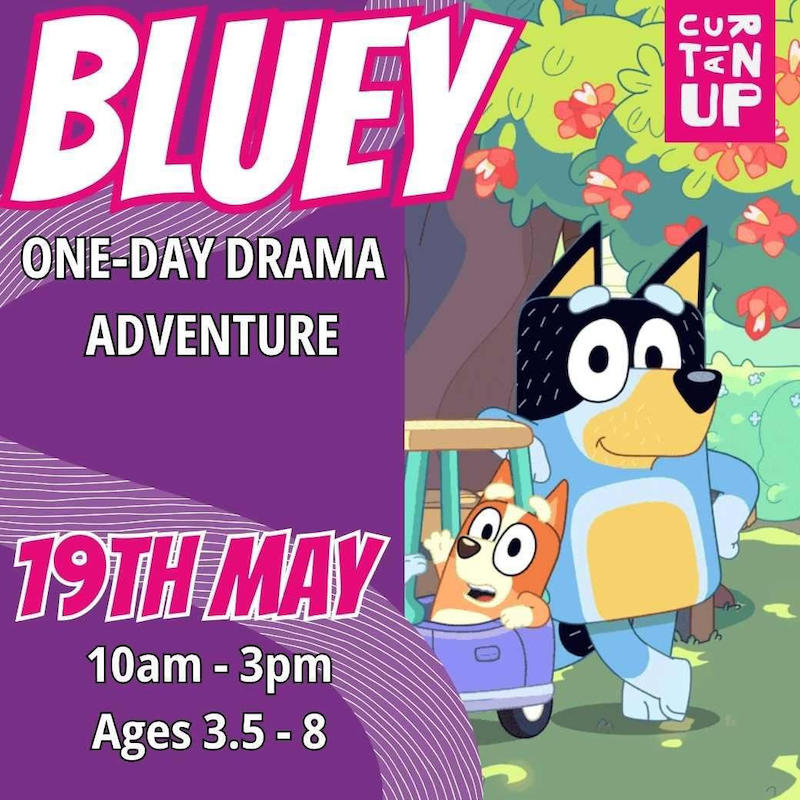 Curtain Up Bkk - One Day Drama Adventure : Bluey