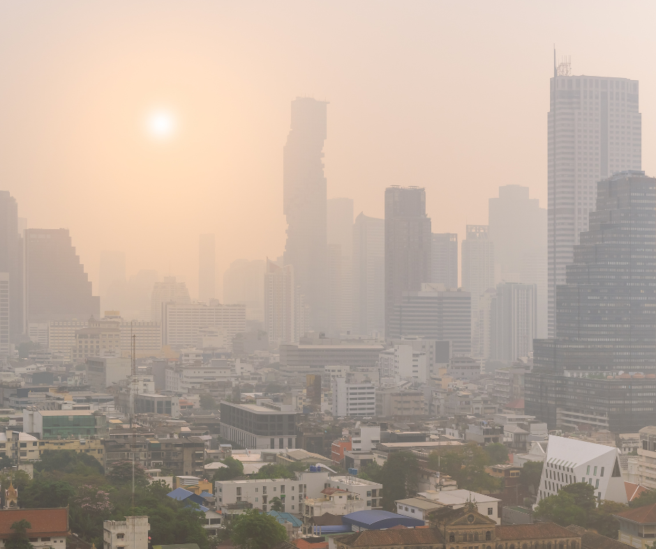 Coping with Air Pollution in Bangkok