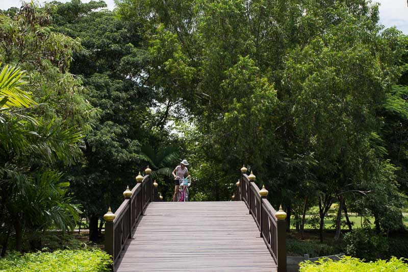 Sri Nakhon Khuean Khan Park and Botanical Garden or khung bang kachao park in Samut Prakan, Thailand - iStock