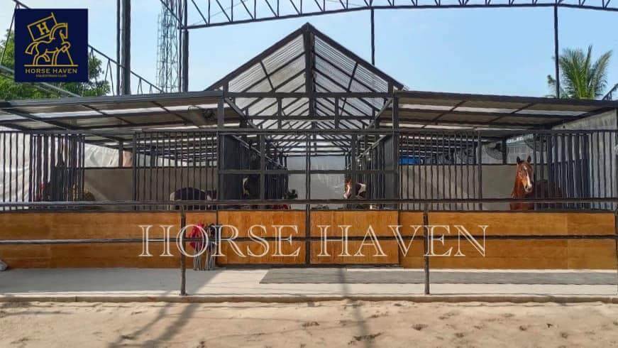 Horse Haven Equestrian Club