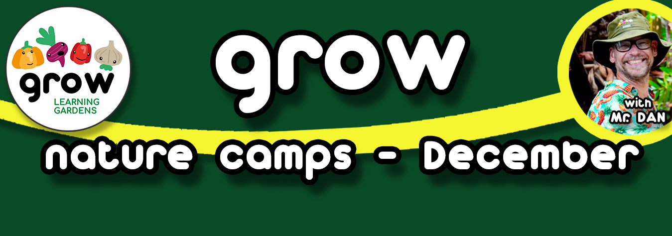 Cover Christmas camp