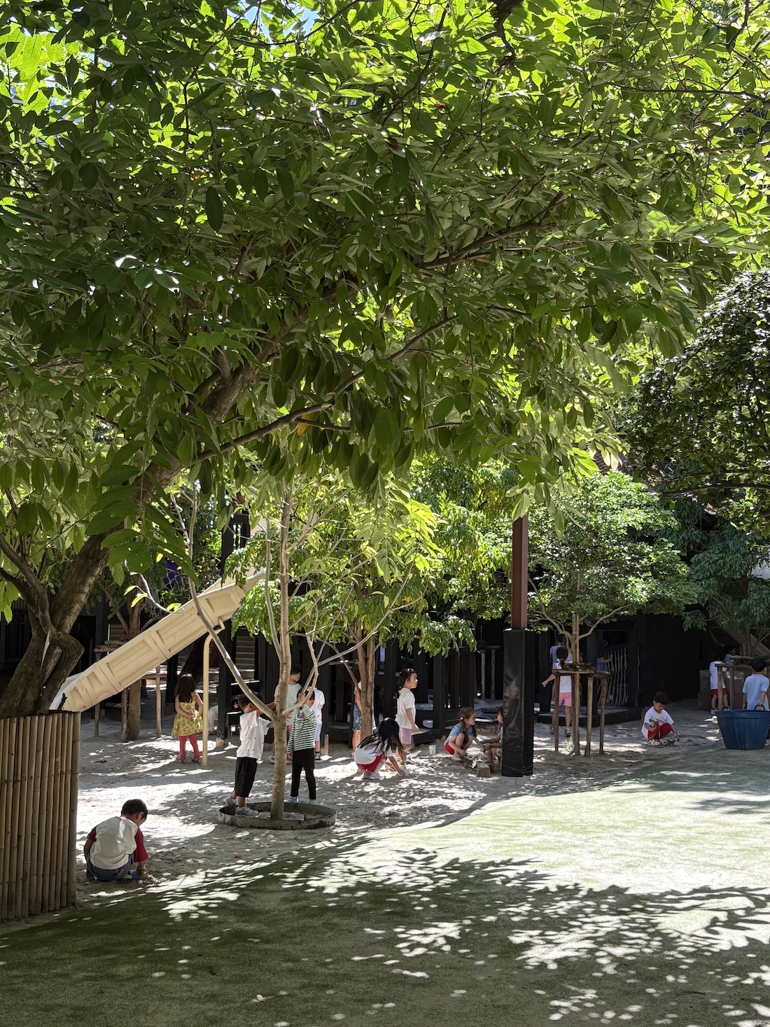 The Dove Programme at ELC International Schools