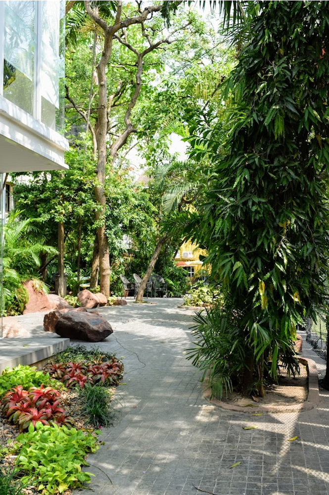 The Dove Programme at ELC International Schools