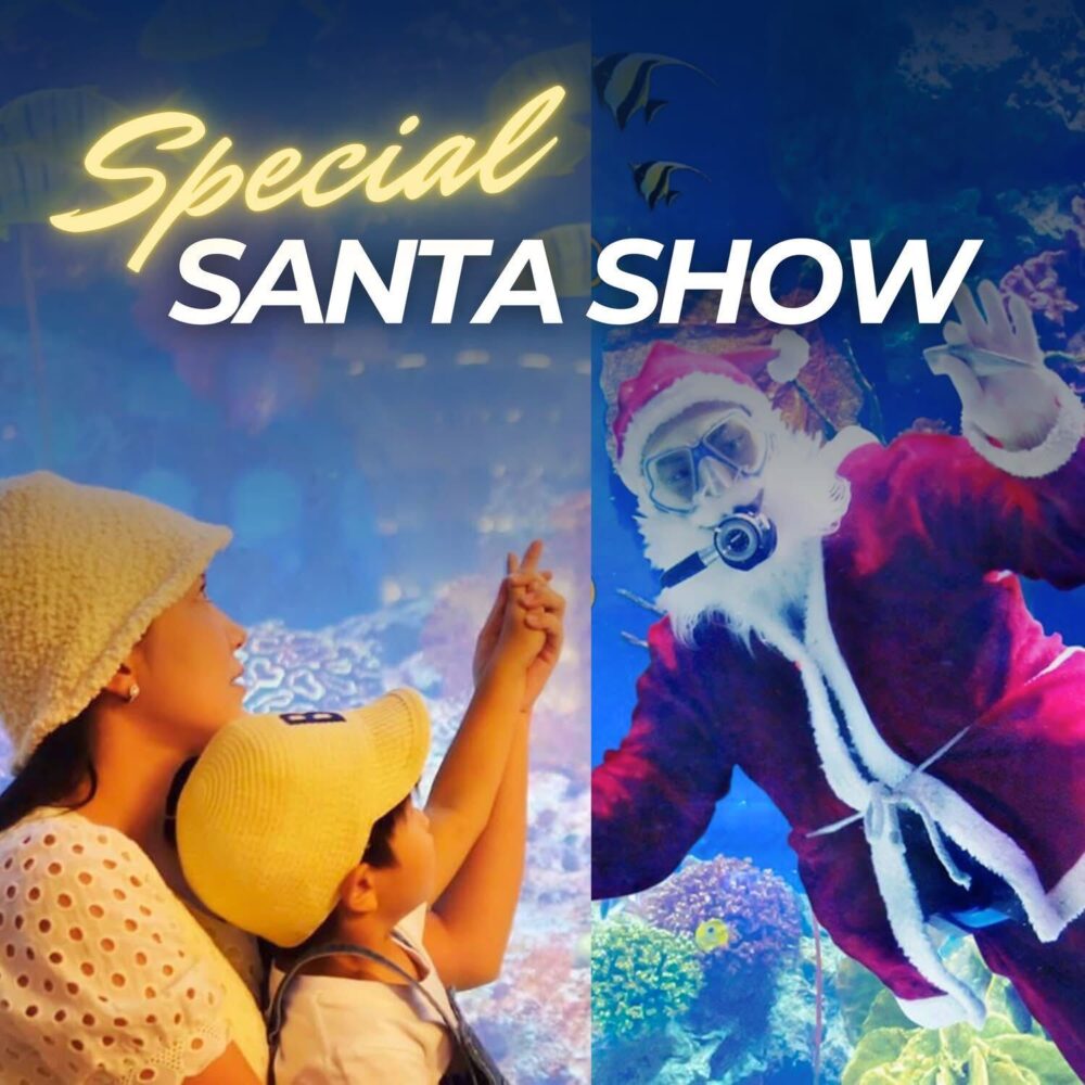 Copper Aquarium Magical Christmas