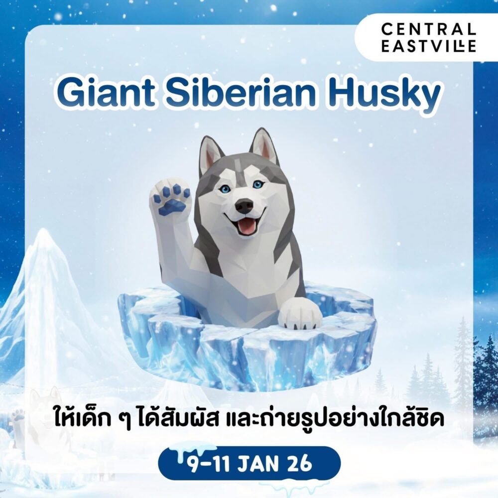 Central East Ville Kid's Day