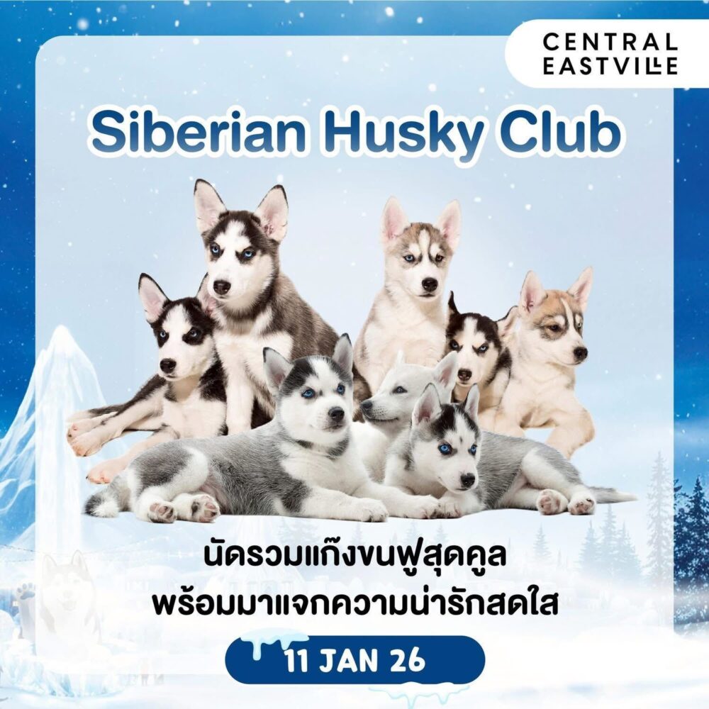 Central East Ville Kid's Day