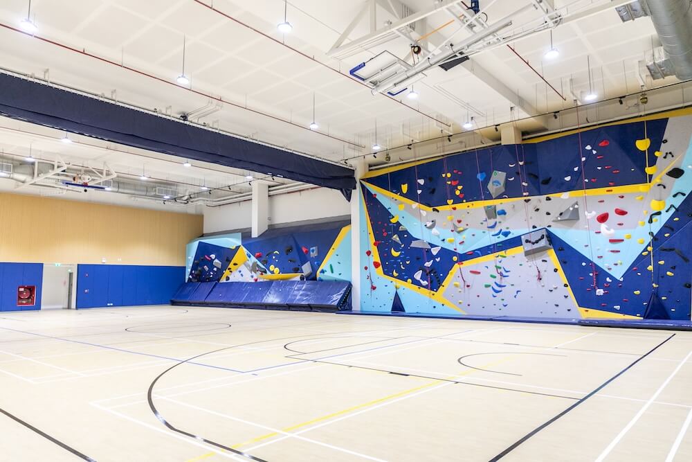 12. Facility_ Elementary Gymnasium with Rock Climbing Wall