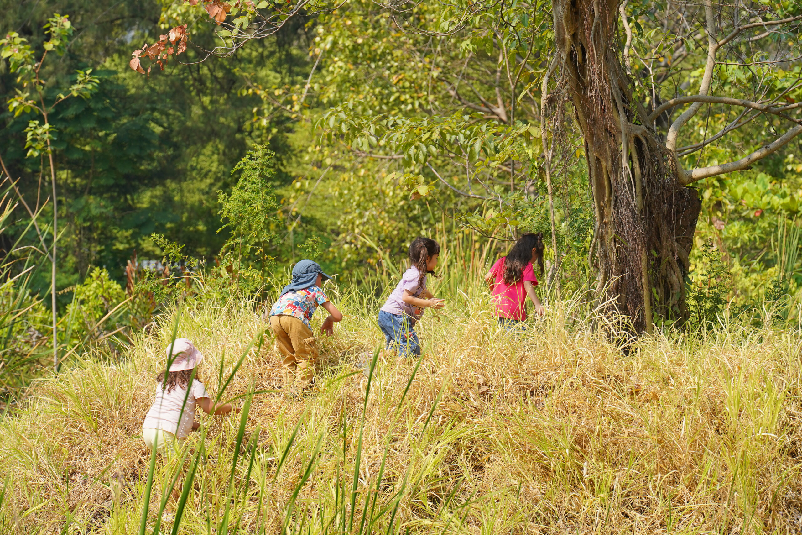 Grow Learning Gardens Forest School & Gardening Club at Benjakitti Park