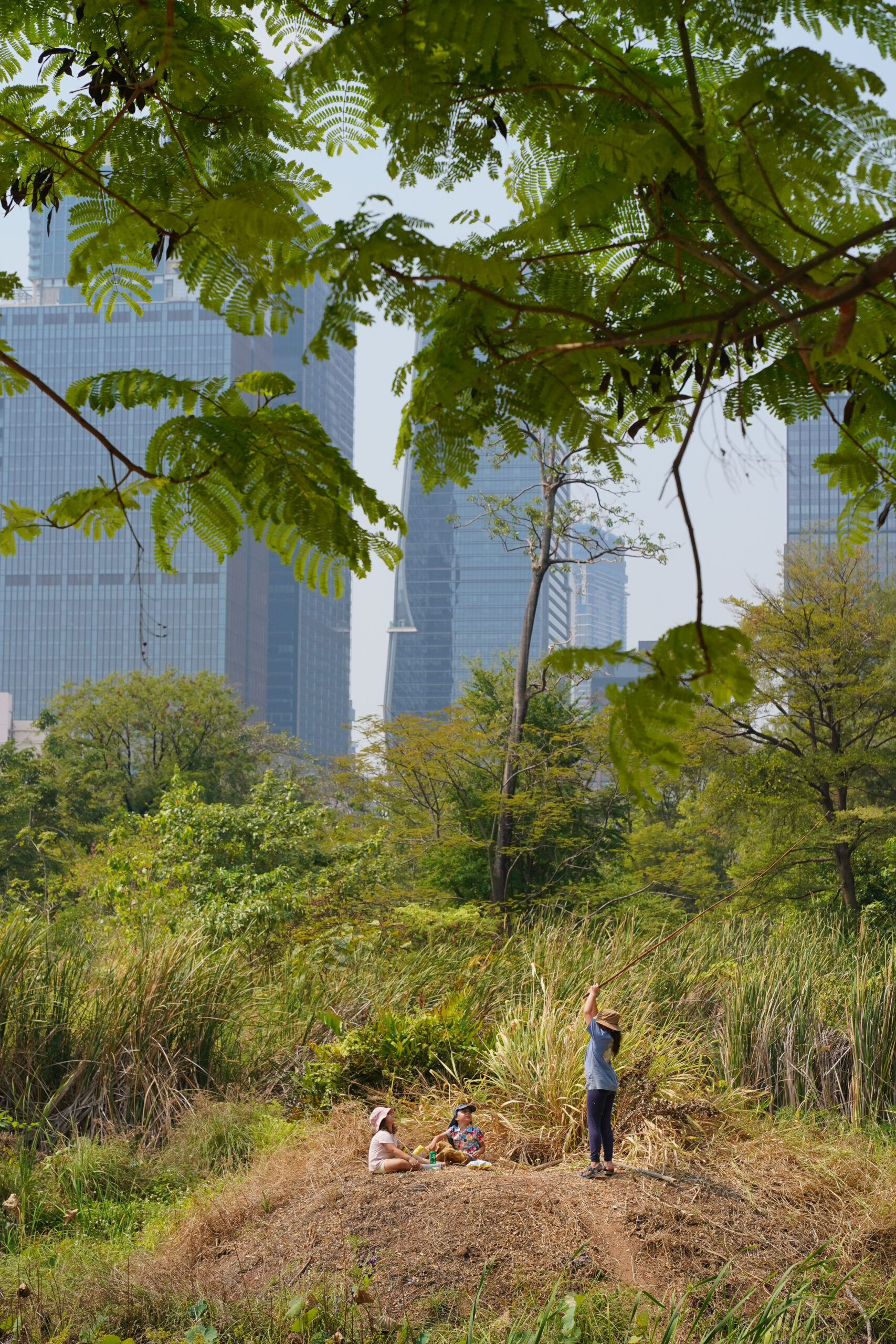 Grow Learning Gardens Forest School & Gardening Club at Benjakitti Park