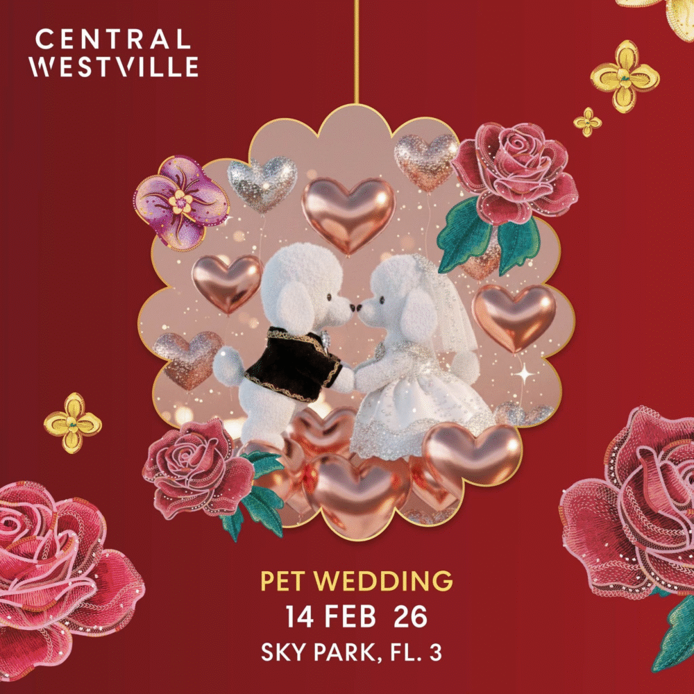 Central Westville Upcoming Events February 2026