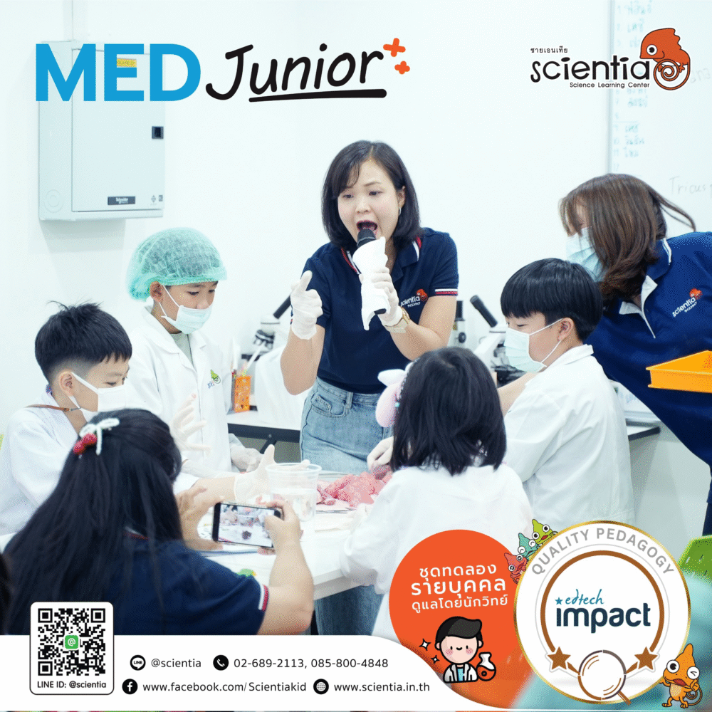 Scientia MED Junior and Gross Lab Anatomy