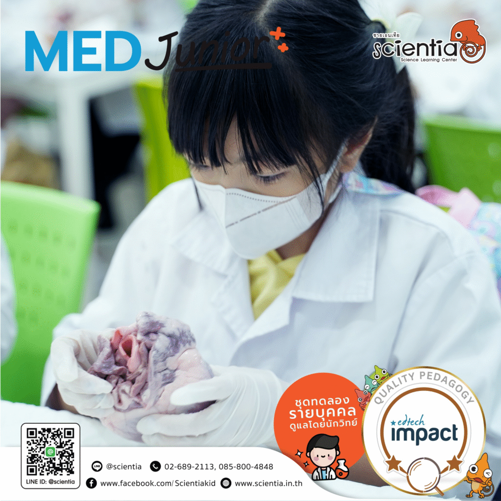 Scientia MED Junior and Gross Lab Anatomy