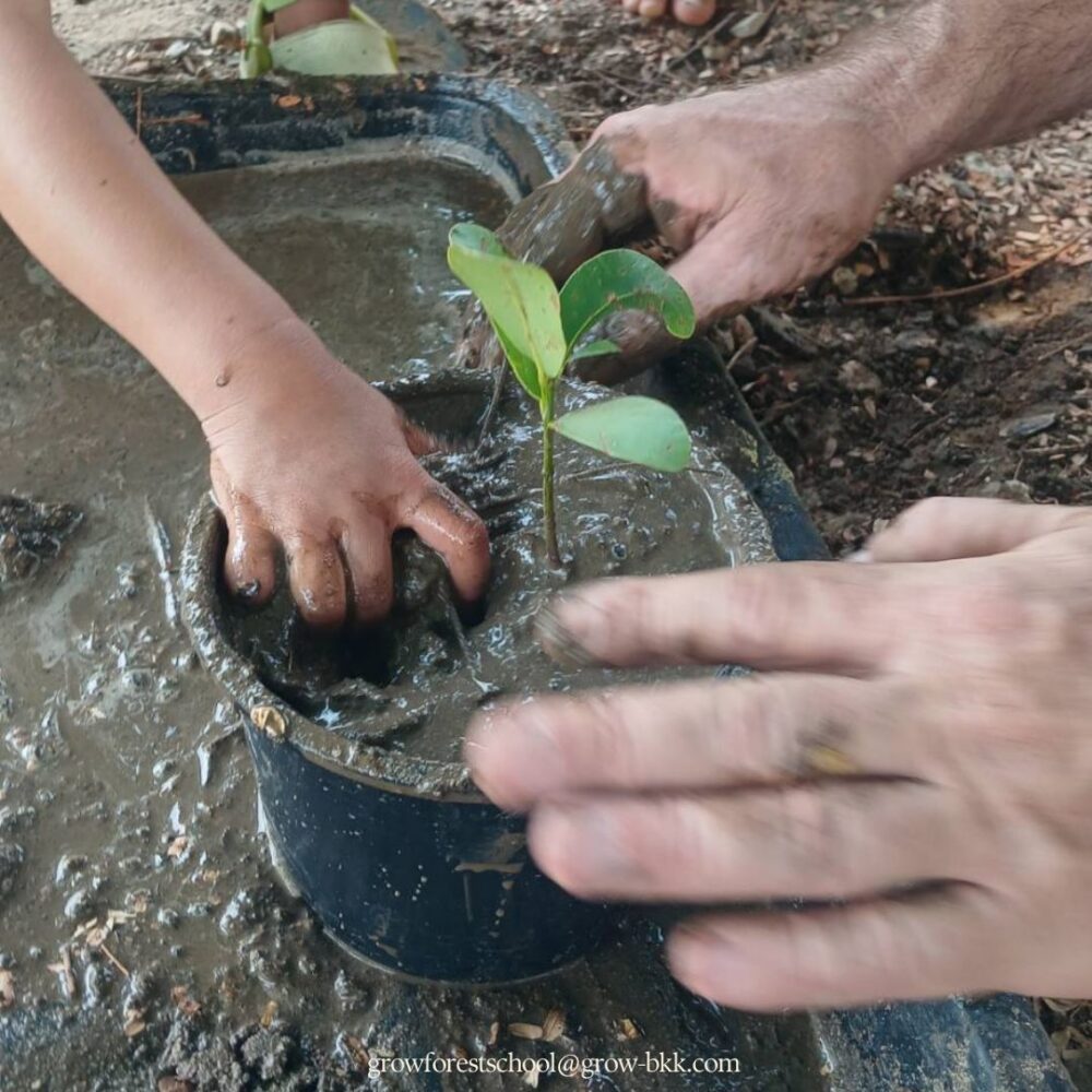 Grow Leaning Garden Forest School & Gardening Club