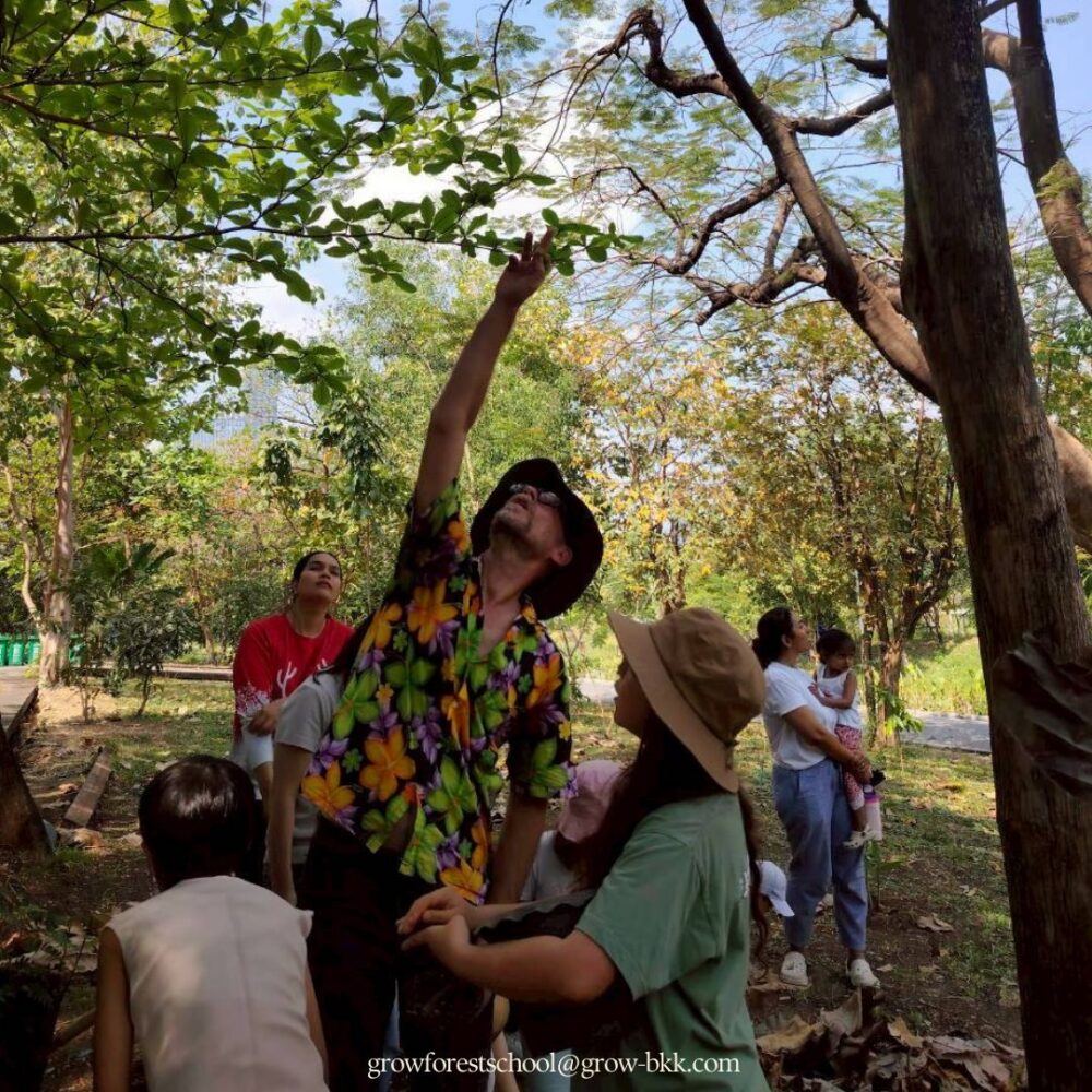 Grow Leaning Garden Forest School & Gardening Club