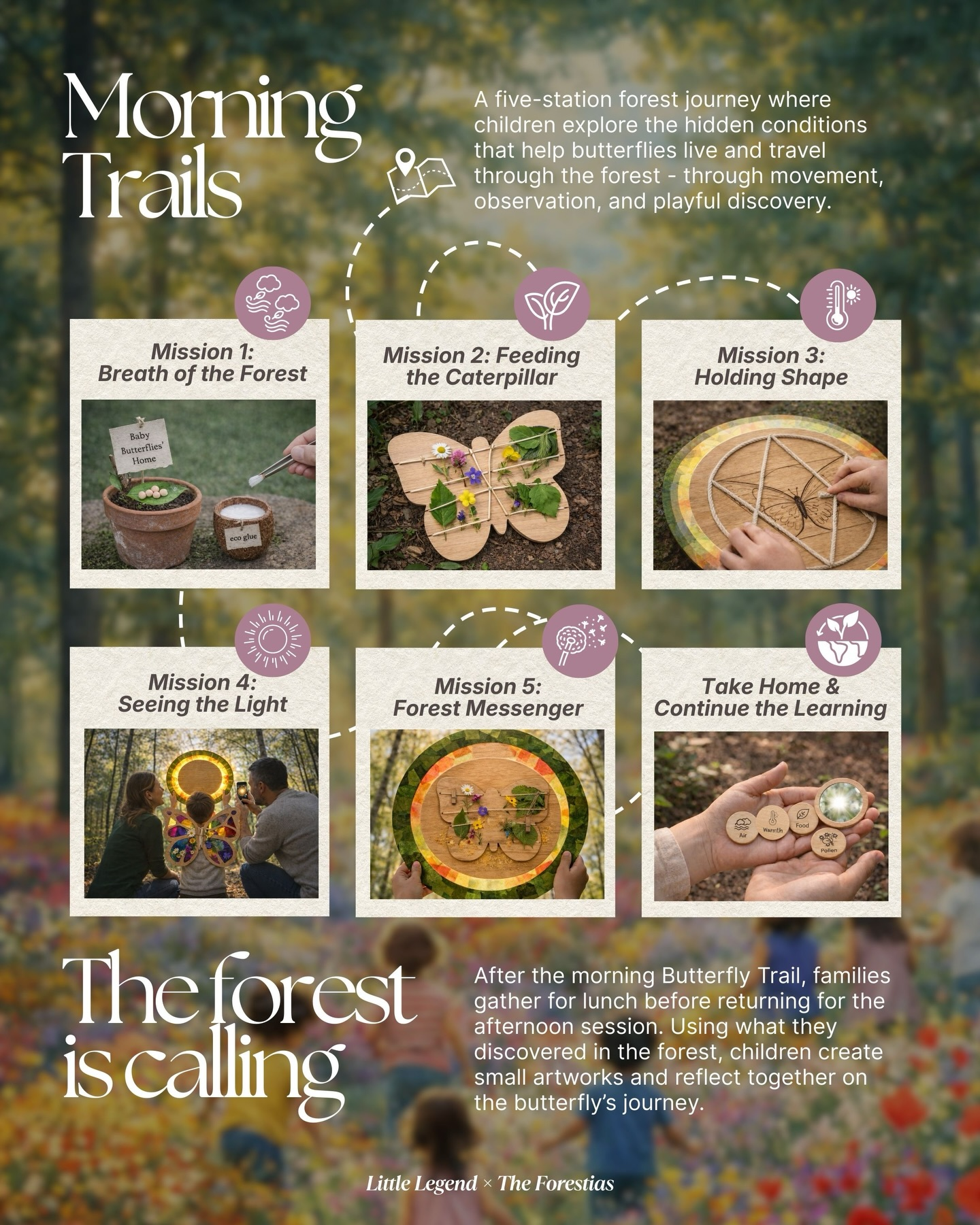 Little Legend Into the Forest We Go – Butterfly Trails & Tales
