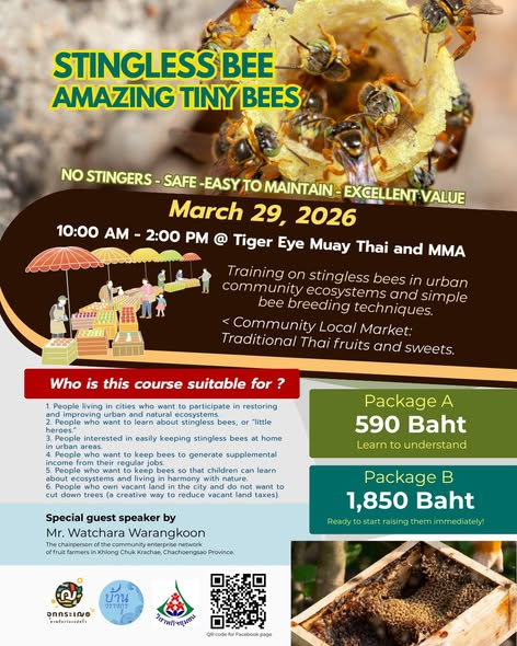 Tiger Eye Martial Arts Urban Stingless Bee Workshop