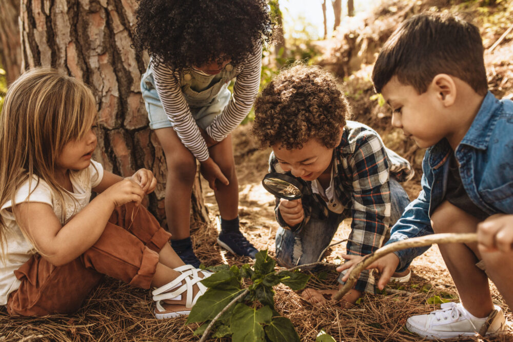 Kids in forest with a magnifying glass