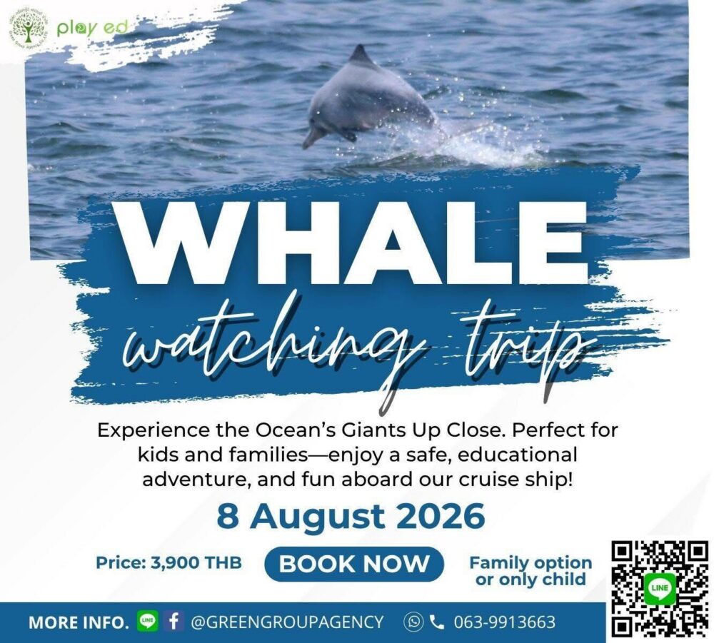 Greengroupagency Whale Watching Trip