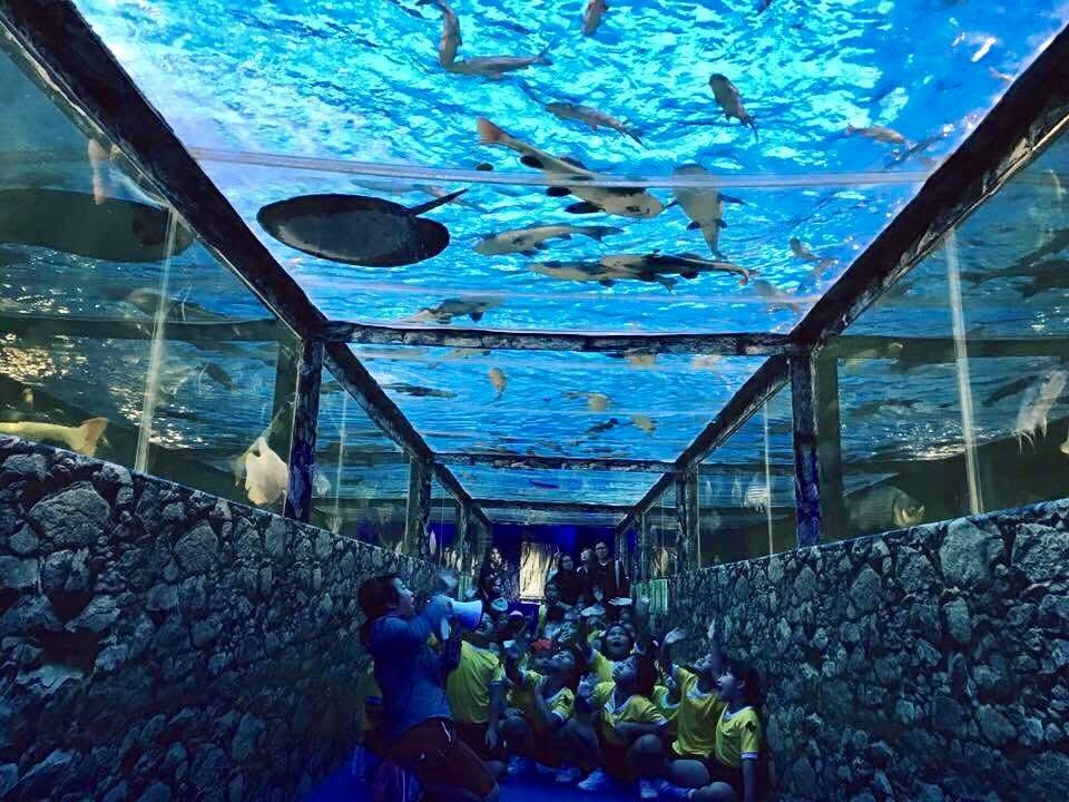 Monsters aquarium pattaya