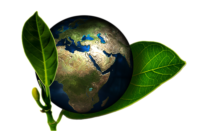 eco friendly earth logo
